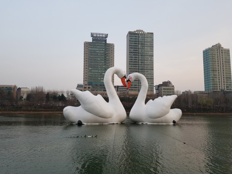 sweet swans Florentijin Hofman 201704-05
